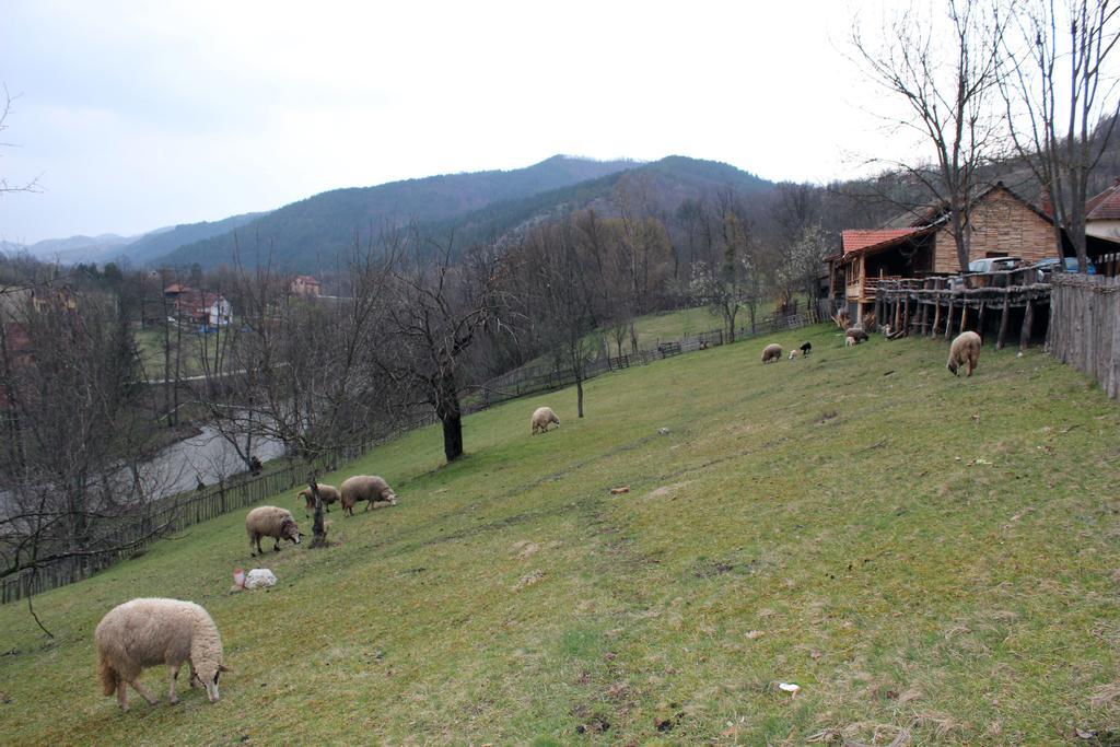 Ethno Village Bogut Bogutovac Exterior foto